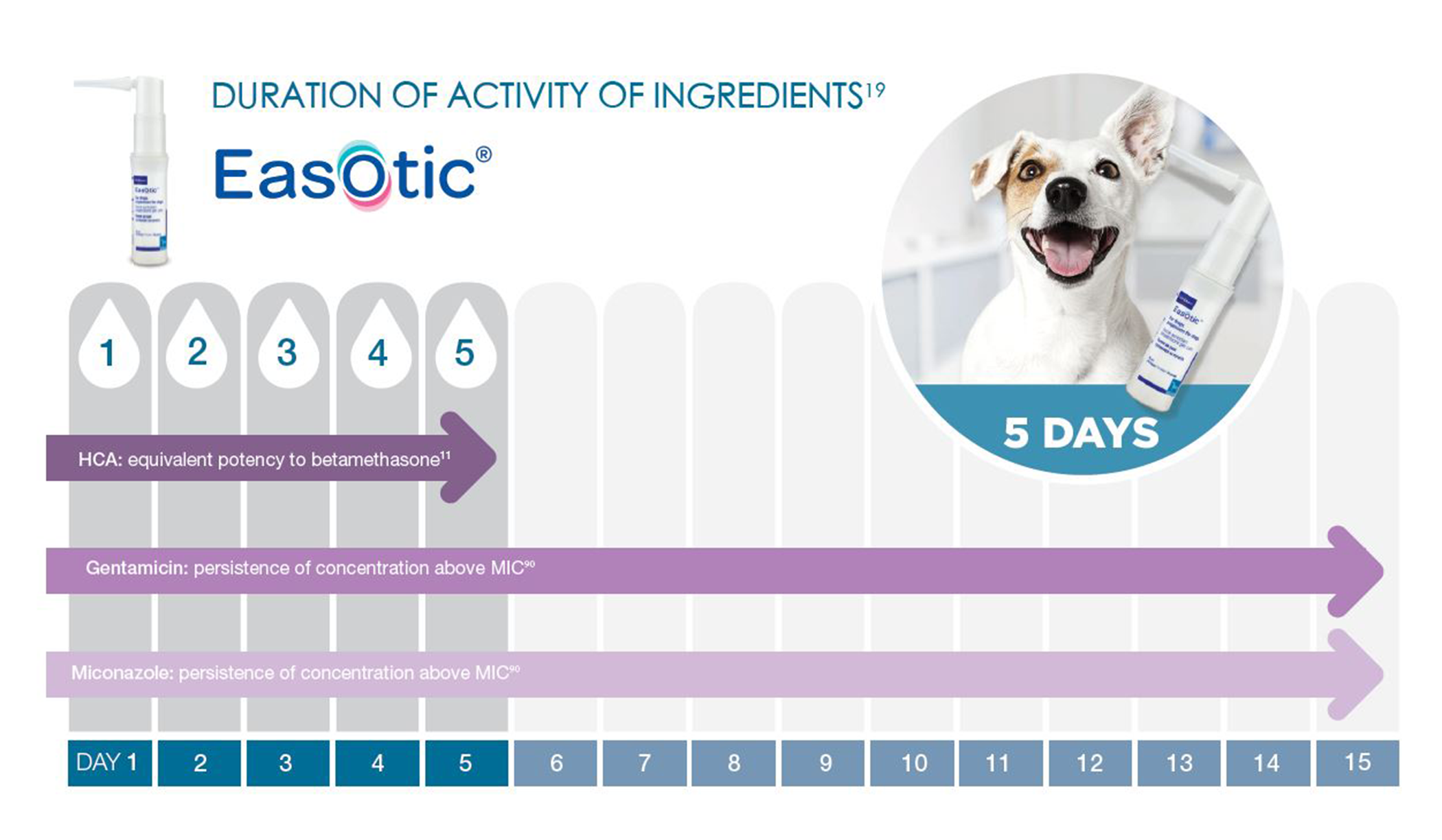 Easotic ear drops top